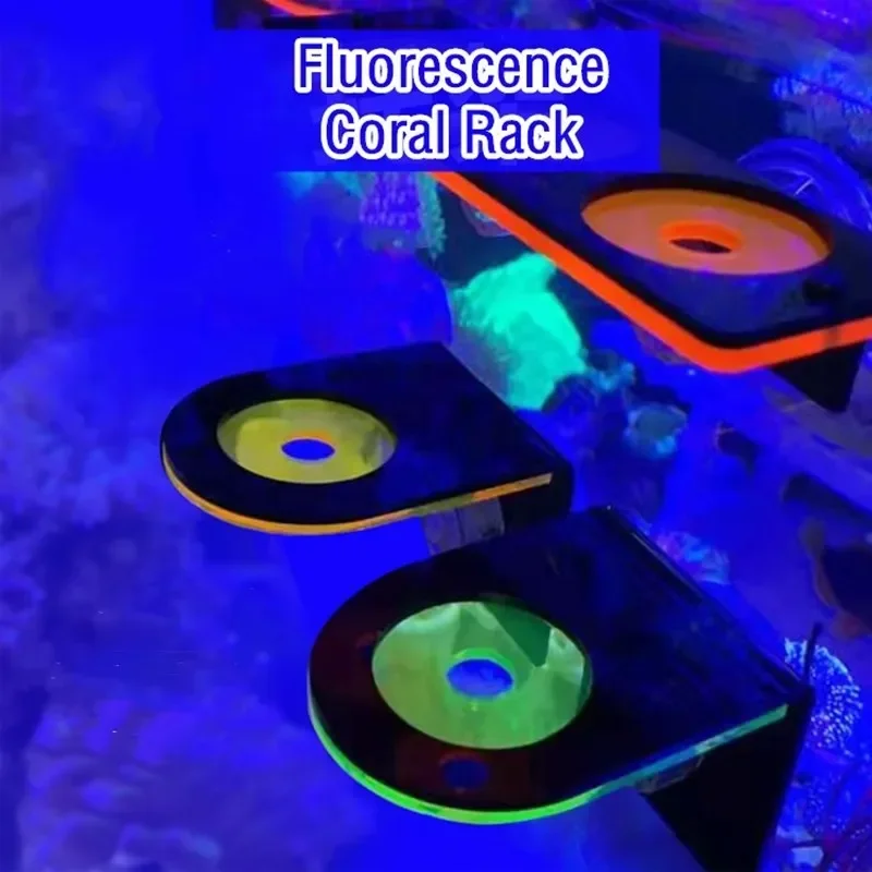 Fish Tank Acrylic Fluorescent  - Aquarium Marine Fishes ulasan dan harga